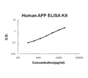 Human Amyloid Precursor Protein (APP) ELISA Kit 96T (Part No. FPBHAPP-1)